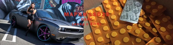шишки Горно-Алтайск