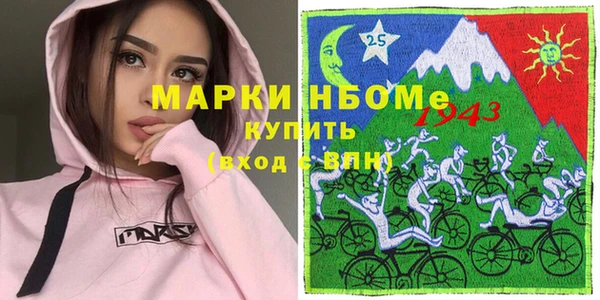 шишки Горно-Алтайск