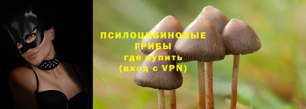 шишки Горно-Алтайск