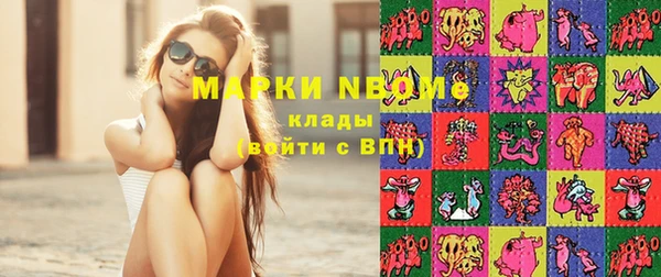 шишки Горно-Алтайск