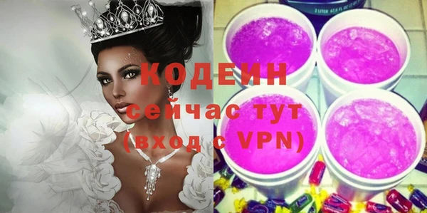 шишки Горно-Алтайск