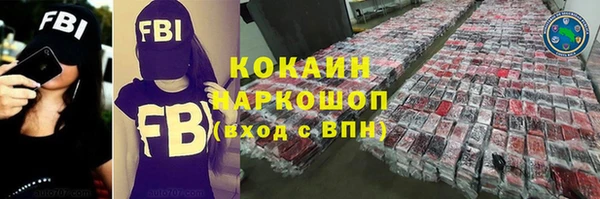 шишки Горно-Алтайск