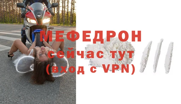 шишки Горно-Алтайск
