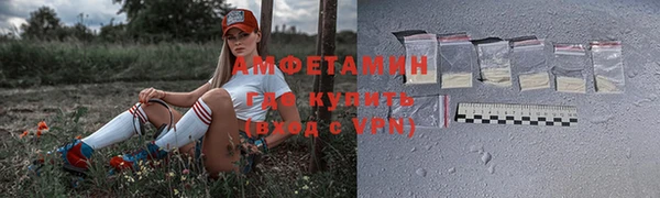 шишки Горно-Алтайск
