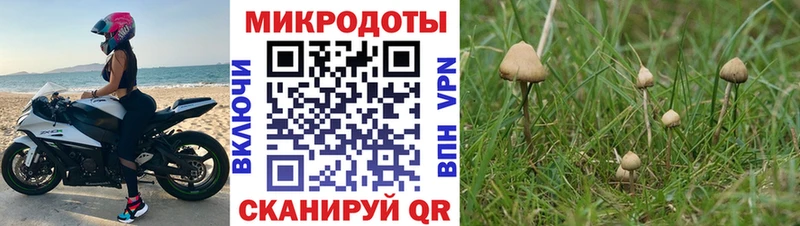 Галлюциногенные грибы прущие грибы  Купить где  Краснослободск 
